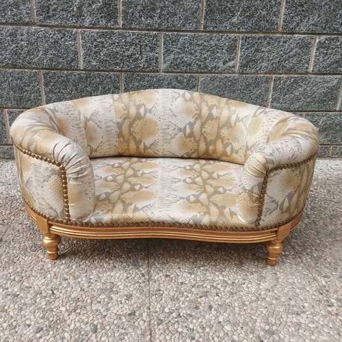Cuccia per cani luxury - cani,