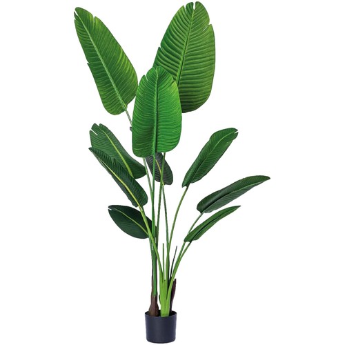 Pianta vaso bird of - in,