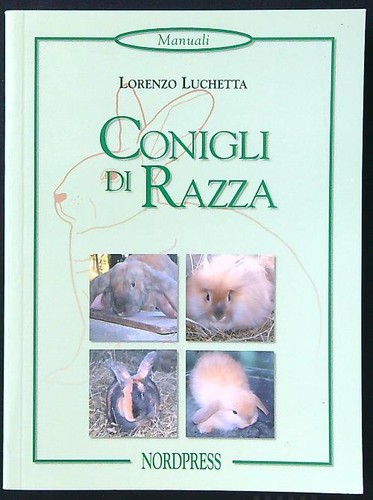 Conigli razza luchetta - conigli,