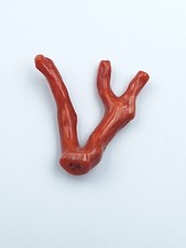 ramo di corallo rosso naturale