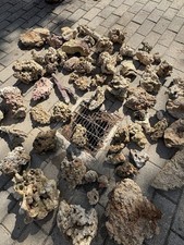 Rocce Vive Fiji Acquario Marino Pronte Da Inserire 10€ Al Kg