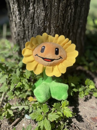 Peluche girasole piante - girasole, vs