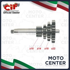 INGRANAGGIO MULTIPLO ALBERO