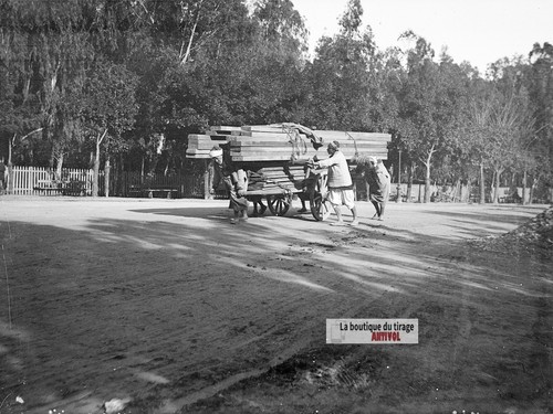 Trasporto travi algeria - di,
