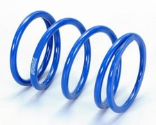 243.111 MOLLA DI CONTRASTO