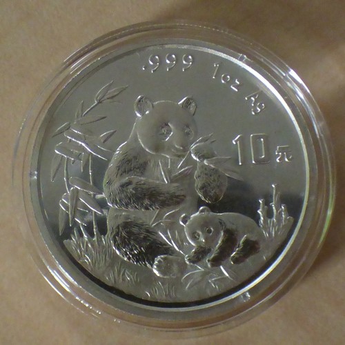 China yuan panda - 10, 1996