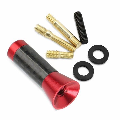 Asta corta antenna tetto auto