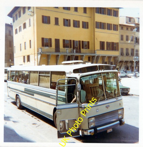 Bus photo florence italy - bus,