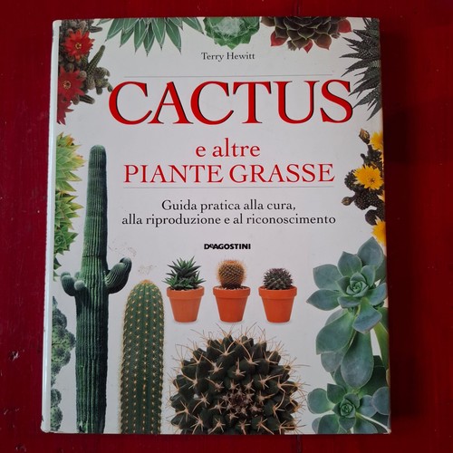 Cactus altre piante grasse - cactus, e
