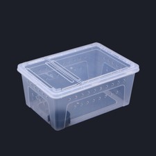 Custodia plastica rettile - custodia,