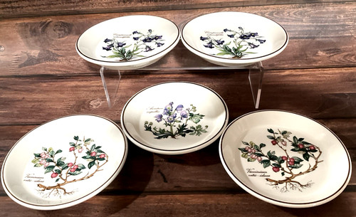 Villeroy boch botanica - botanica, set