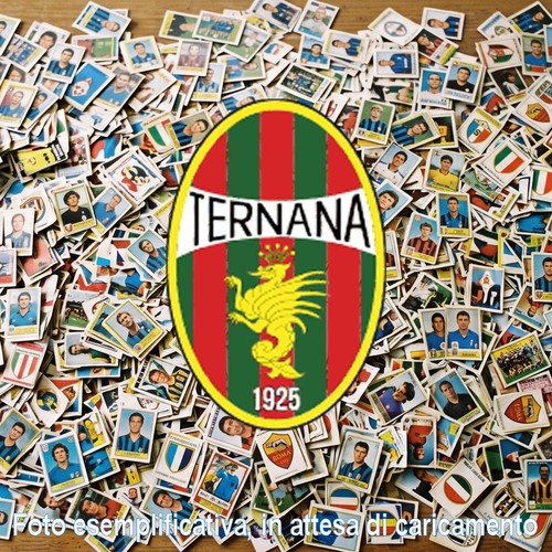 Lotto figurine calciatori - lotto,
