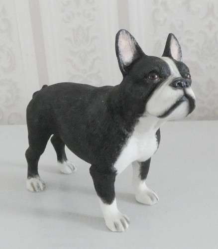 French bulldog dog leonardo - bulldog,