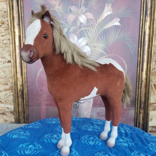 American paint foal - paint, foal,