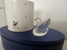 SWAROVSKI SCS 1995 RINNOVO