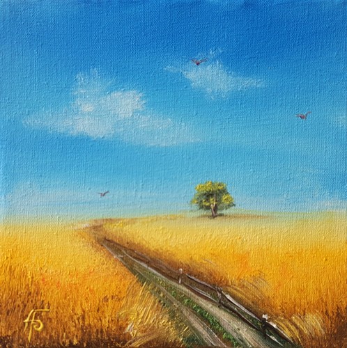 Campo grano dorato strada - campo,