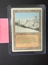 MTG Taiga Revisionata Dual