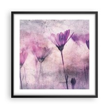 Poster 50x50cm fiori rosa - fiori,