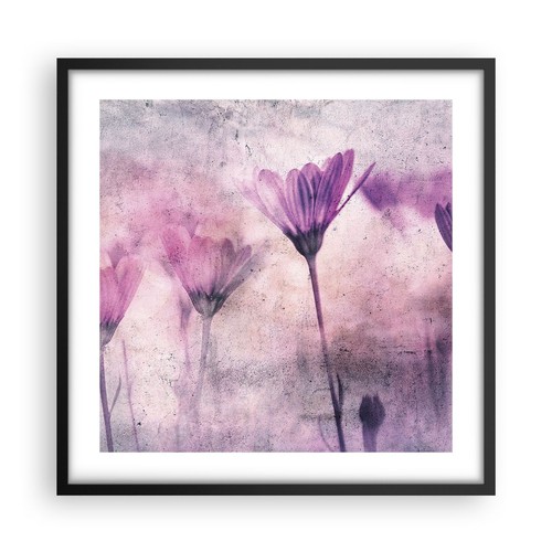 Poster 50x50cm fiori - poster, rosa