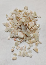 Pepita di corallo naturale