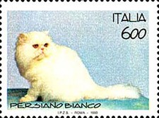 Italia 1993 - Gatti - Persiano