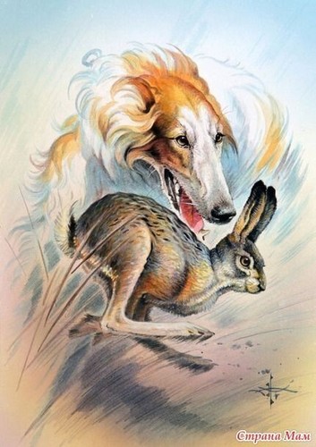 Vintage natura caccia poster - natura,