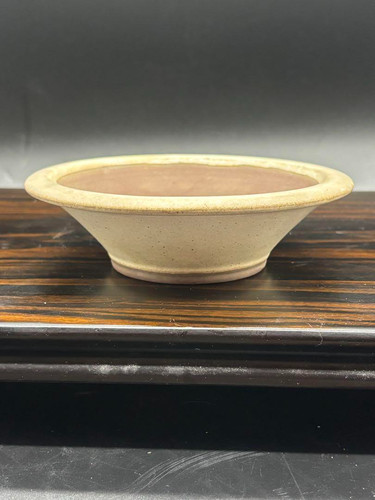 Piccolo raro vaso bonsai