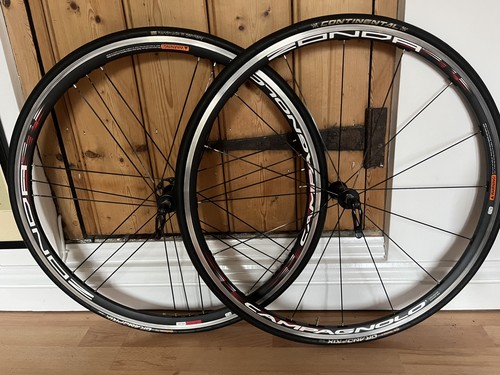 Ruote campagnolo zonda - ruote,