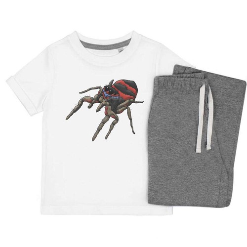 Jumping spider set - 'jumping,