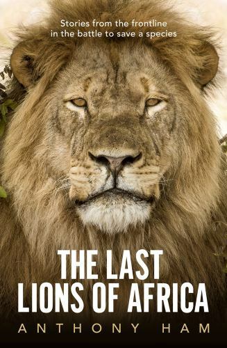 The last lions africa - lions, of