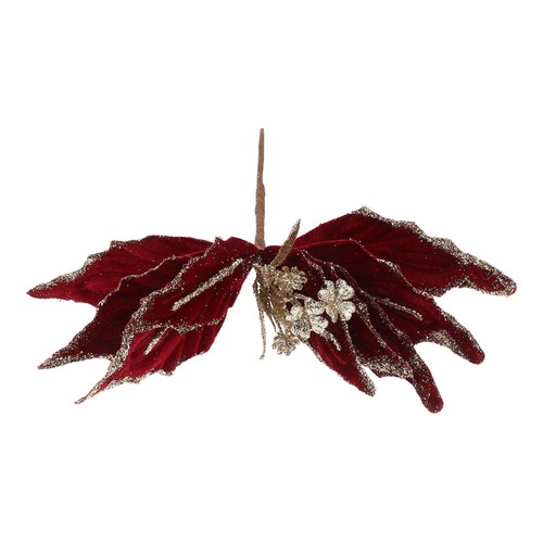 Fiore stella natale - fiore,