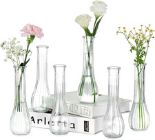 Piccoli Vaso Fiori Vetro: 6