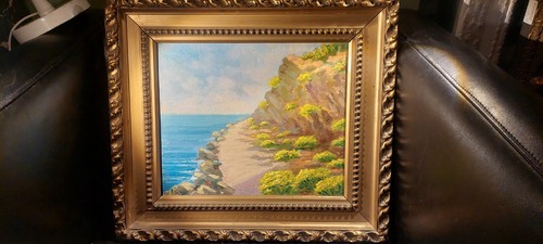 Ginestre bordighera - a,
