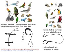 Laccio zampa elasti - laccio, +