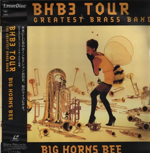 Big horns bee - big, still