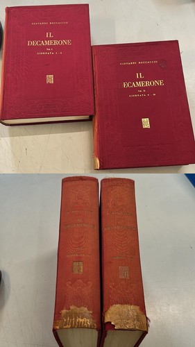 Decamerone edizioni viola - decamerone,