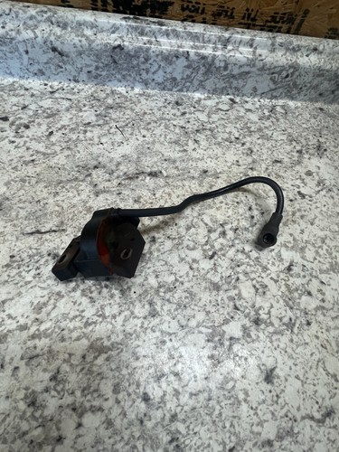 Bobina accensione oem briggs - briggs, &