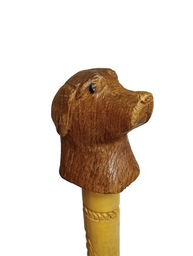 Bastone passeggio legno - bastone,