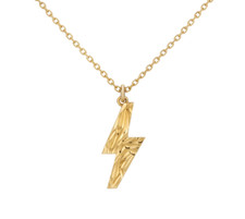 Pokemon U-TREASURE Necklace