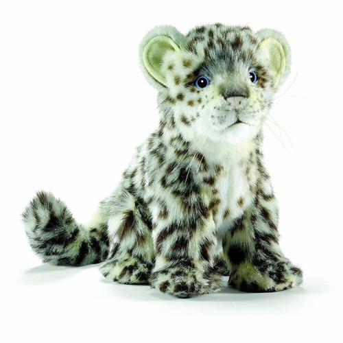Hansa sitting snow leopard cub - sitting,