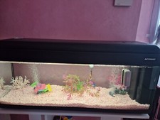 Due Acquari - 110 litri  Pet Company e 20 litri  Aqpet nero con mobile bianco