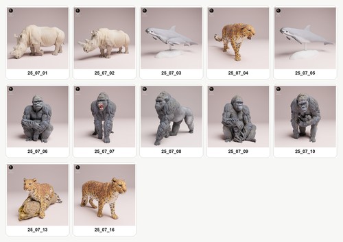 Animali dell africa - 1:32,, 12
