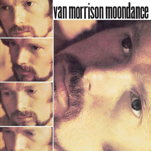 Van morrison moondance - cd,