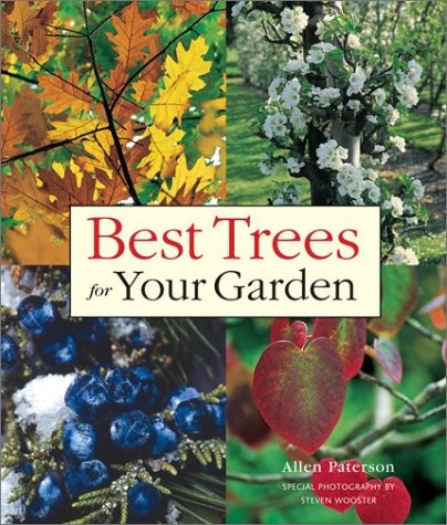 Best trees for your - best,