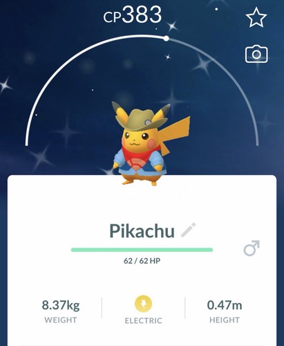 Costume escavatore pikachu - costume,