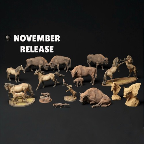 Animali del nord - animali,