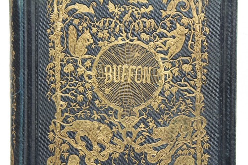Buffon de la - buffon,