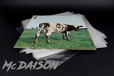 McDAISON - 50 BUSTE dischi LP
