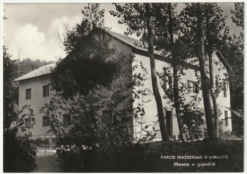 Parco nazionale abruzzo - parco,