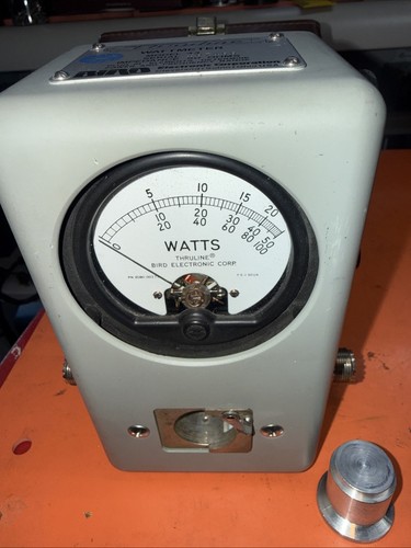 Wattmetro thruline bird in - wattmetro,